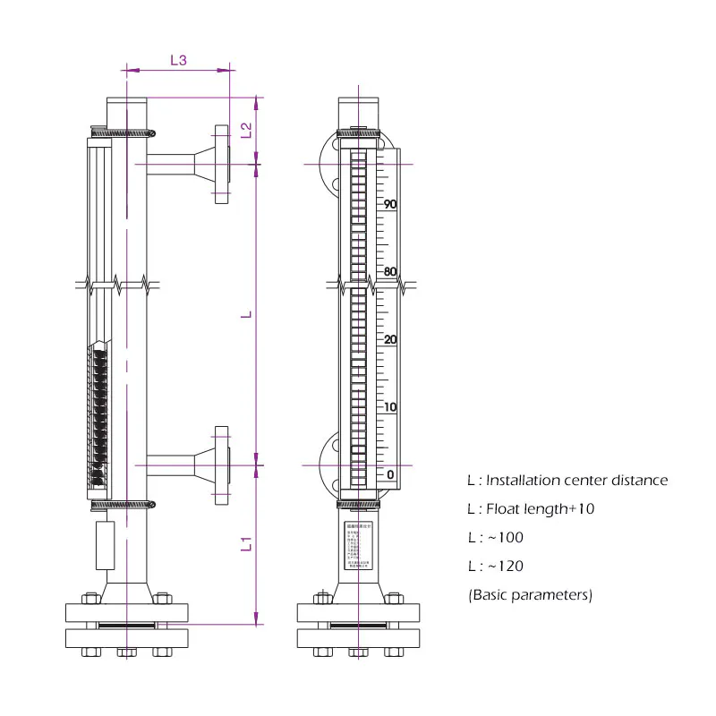 This is a schematic diagram of a magnetic level indicator, showing the detailed dimensions and flange connections. The diagram includes labels for various lengths, such as L, L2, and L3, indicating the measurements of different sections of the device.