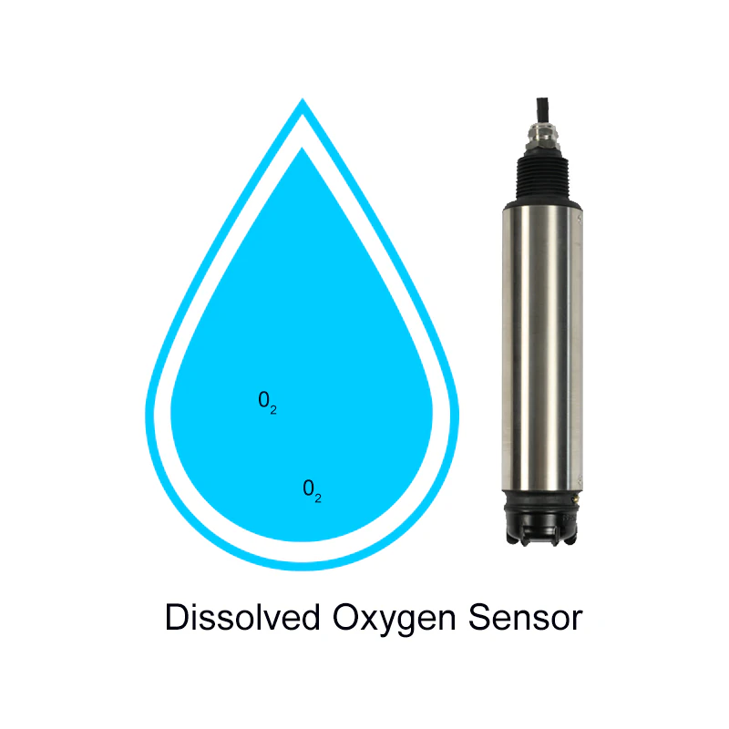 Fluorescent dissolved oxygen sensor working principle for water quality monitoring