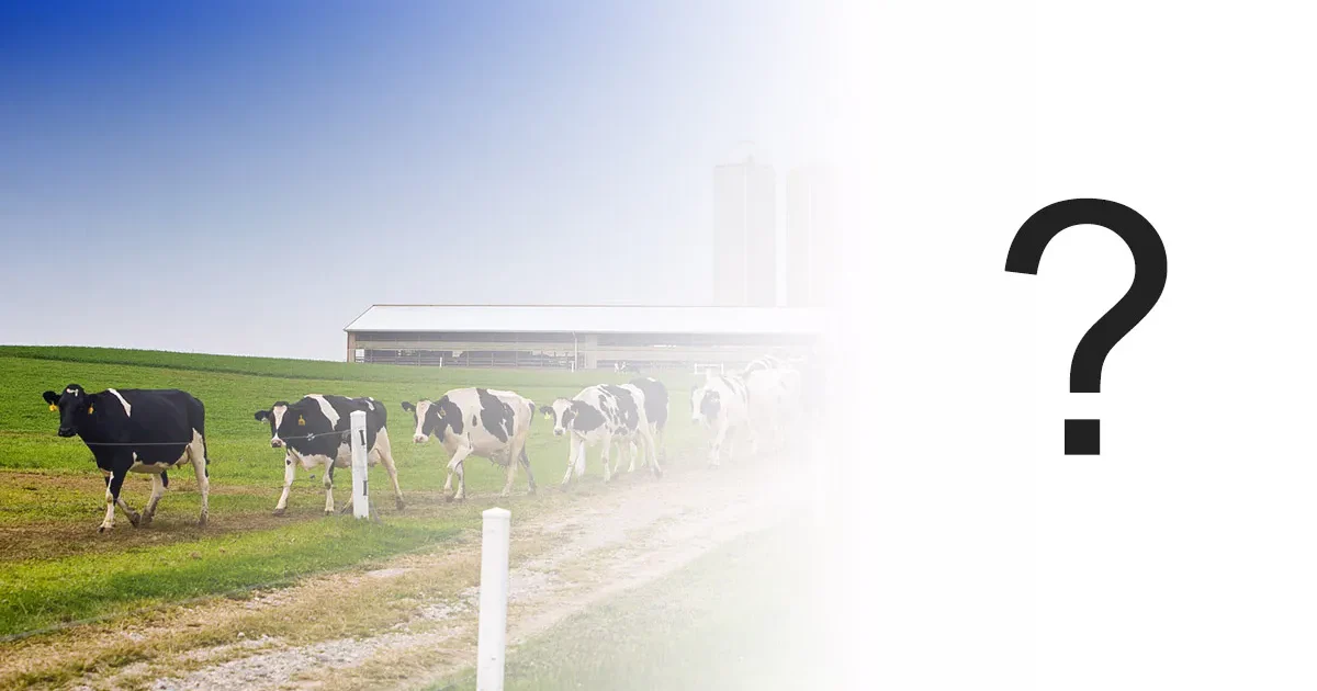 Image representing the article title, discussing why capacitive level switches fail in sticky material applications.