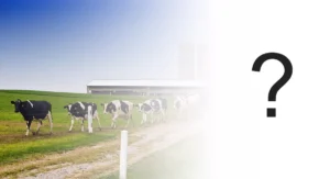 Изображение, иллюстрирующее название статьи, в которой рассказывается о том, почему емкостные датчики уровня не работают в системах с липкими материалами.