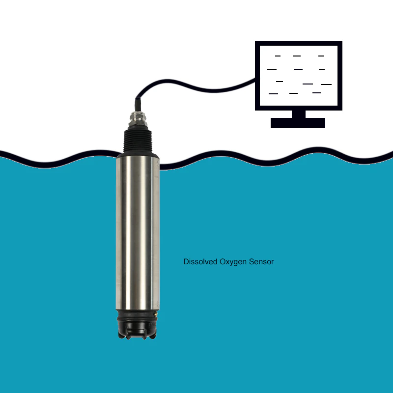 Industrial online dissolved oxygen sensors with transmitter for water quality monitoring