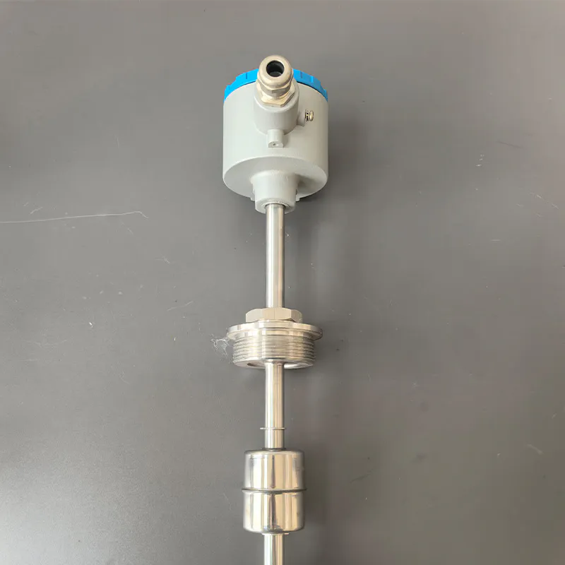 Stainless steel level switch with threaded mounting and probe rod