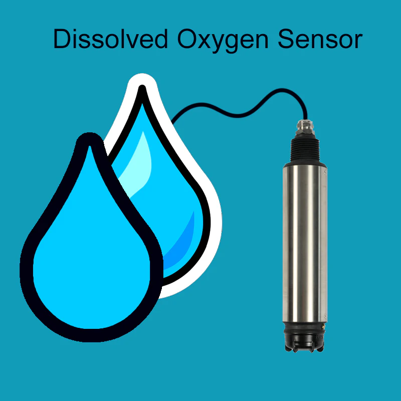Optical dissolved oxygen sensor with stainless steel probe for wastewater and water quality monitoring
