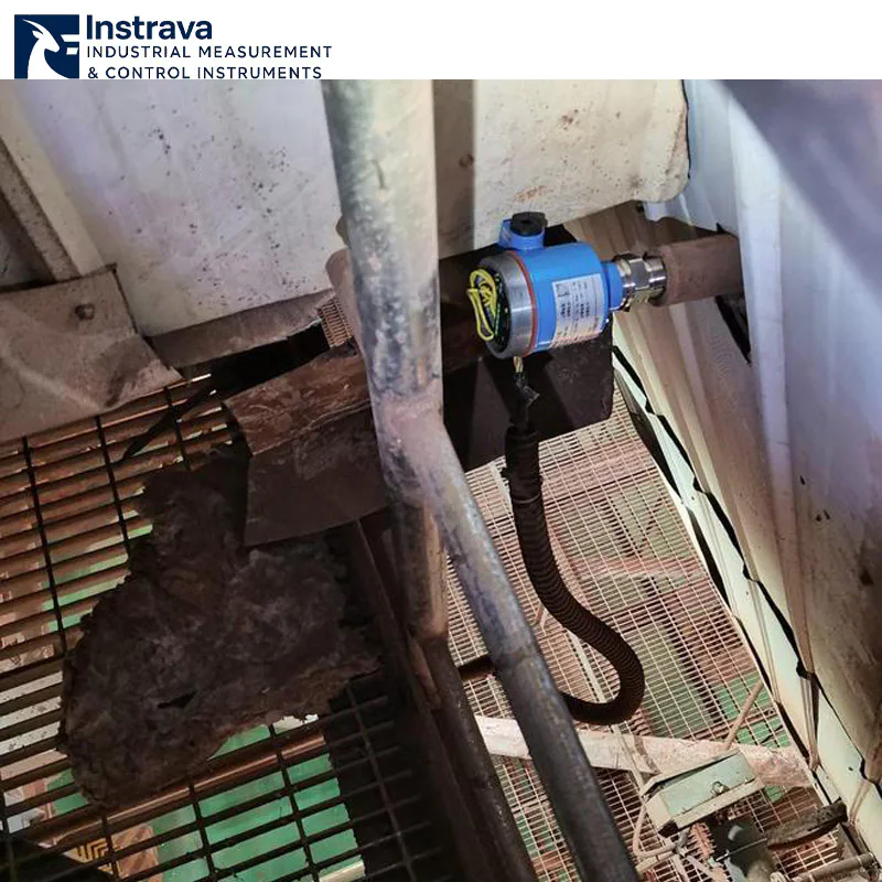 RF capacitance type level switch installed on an industrial platform, showcasing a compact horizontal mounting solution.