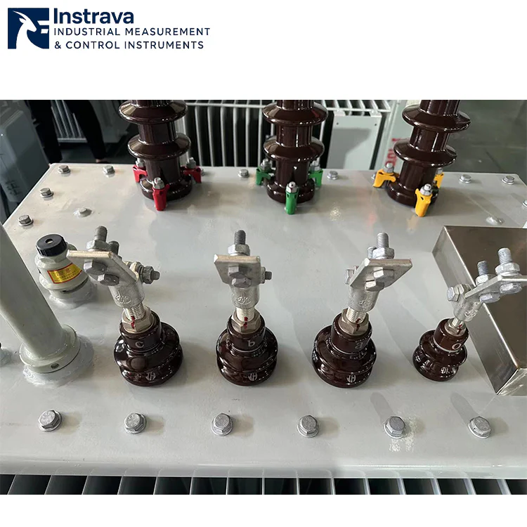 Close-up of distribution transformer high and low voltage porcelain bushings, showing terminals, insulators and phase sequence labels, demonstrating transformer terminal structure